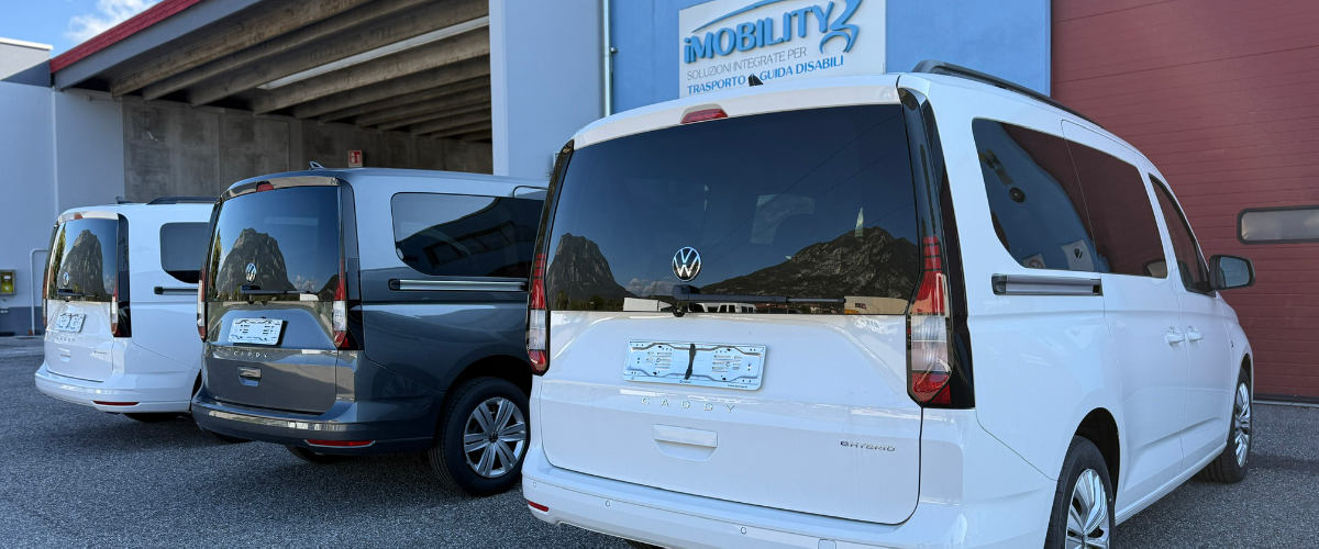 caddy ibrido disabili